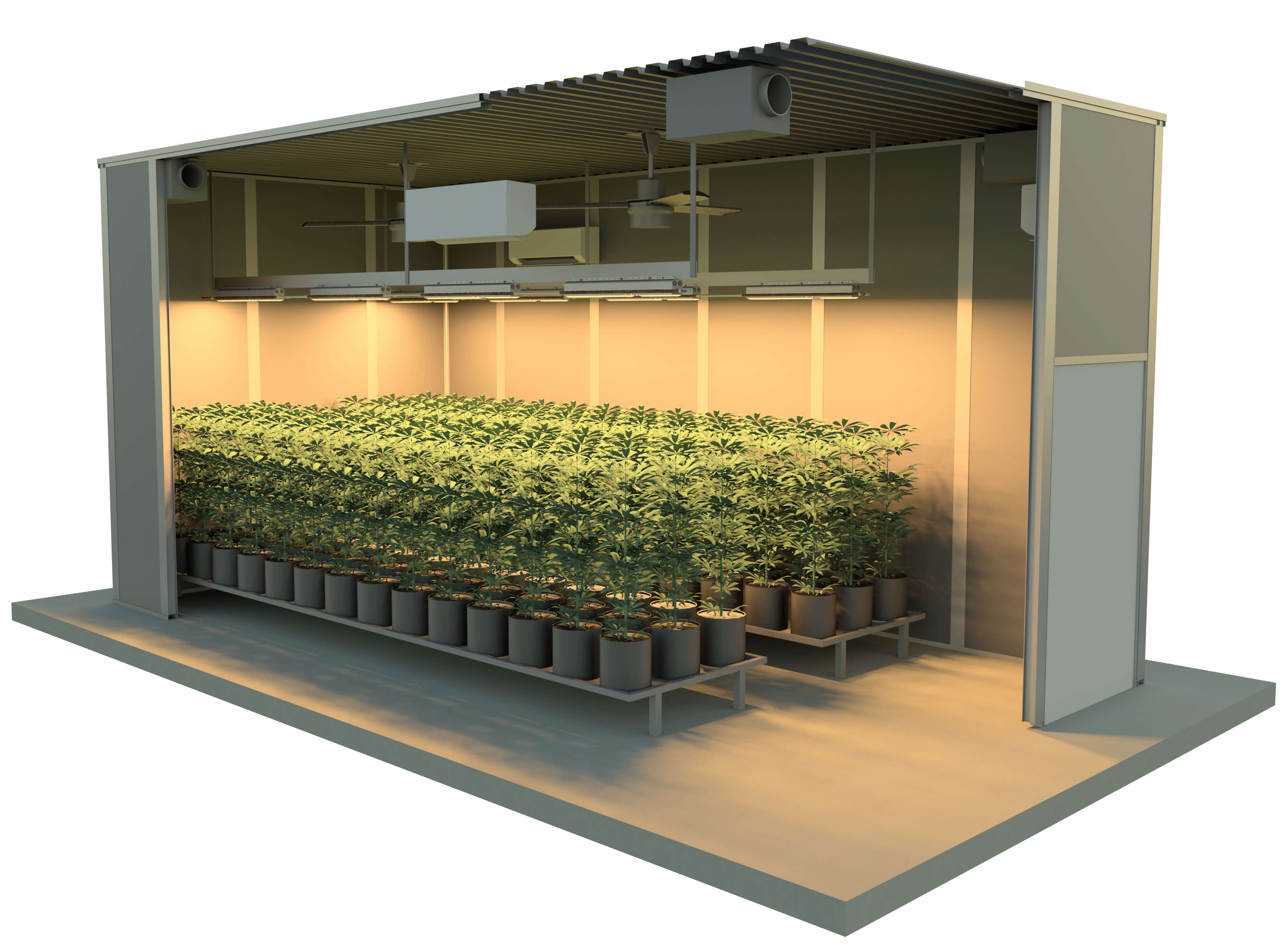 Hydroponic Grow Room for INDOOR